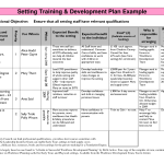 risk management plan example free sales development plan template