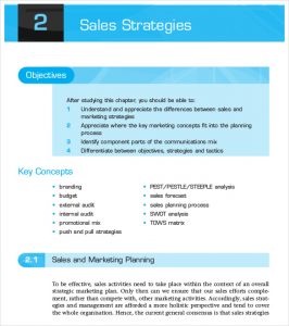 sales strategy example sales strategies planning process