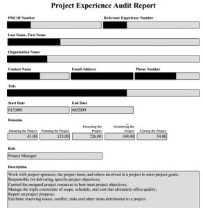 sample audit report pmp audit