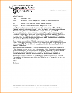 scholar letter sample letter for masters scholarship