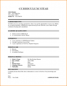scholarship application letter formal cv format sample
