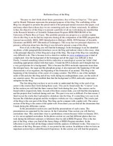 self reflection essay reflection essay of the blog