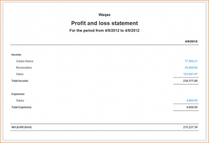 simple personal financial statement simple profit and loss statement profit and loss statement