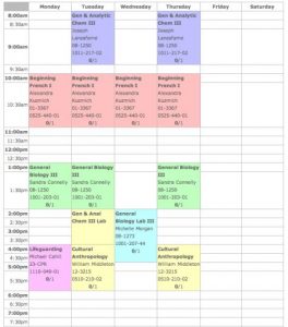 student schedule template screen shot at pm