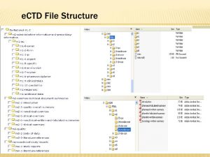 technical report formats ectd submissions
