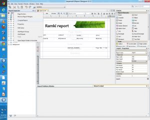 technical reports format jasper