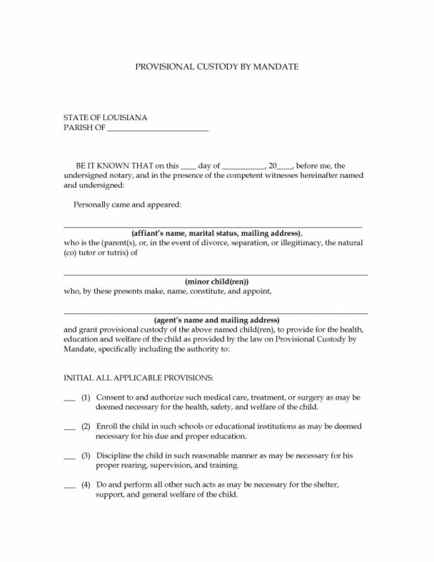 Temporary Custody Agreement Template Business