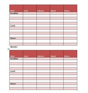 ten frame template food diary template