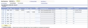 time sheets templates wponet trainee timesheet example