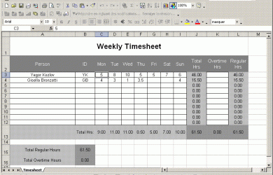 timesheet template excel timesheet excel