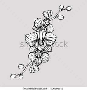 tropical flowers drawing stock vector hand drawn ink floral ornament with flowers orchid vector eps