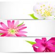 vertical banner design bright floral banner vector pack