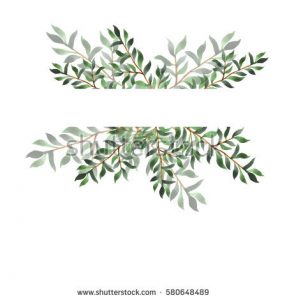 watercolor business card stock photo abstract green leaf border on white background design for wedding invitation or greeting card hand