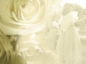 wedding background images flower