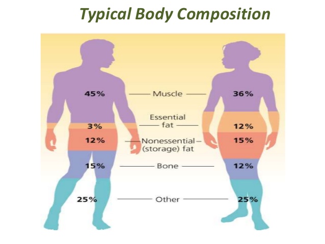 weight loss measurement chart