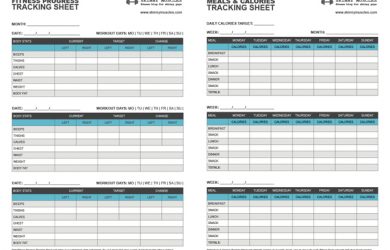weight tracker chart fitness progress
