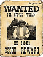 wild west wanted poster wild west wanted poster