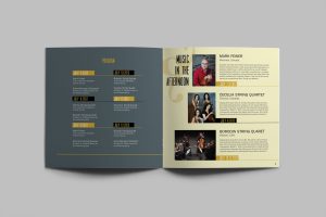 will writing template brochure template