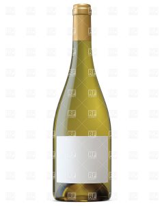 wine bottle template blank template of wine bottle with empty labels download royalty free vector file eps