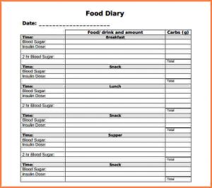 workout schedule template food log template diabetic food log template pdf format